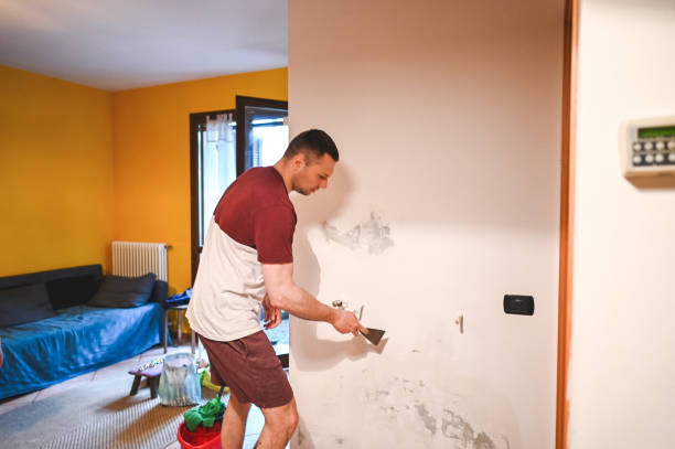 Best Post-Flood Mold Remediation in Whitney, TX