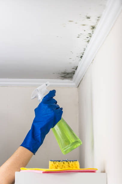 Whitney, TX Mold Remediation Company